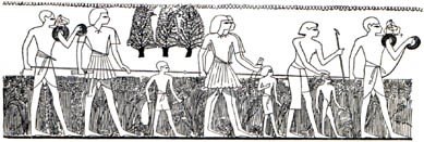Геодетско успостављање међе конопцем са чворовима у старом Египту